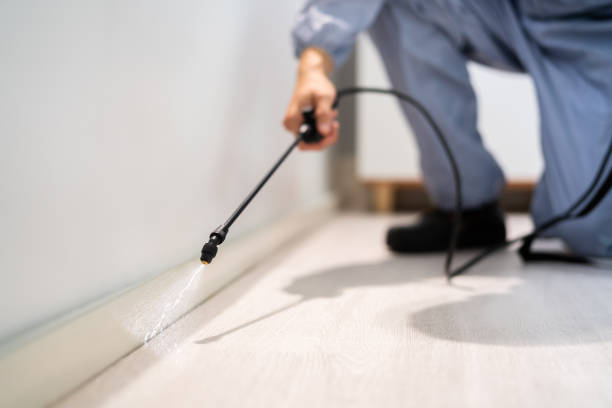 Licensed Pest Control service in North Spearfish, SD - Show Me Pest Control