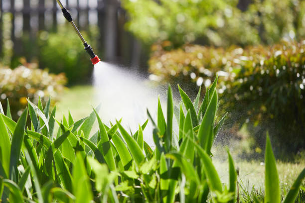 24/7 Emergency Ant Control experts in North Spearfish, SD
